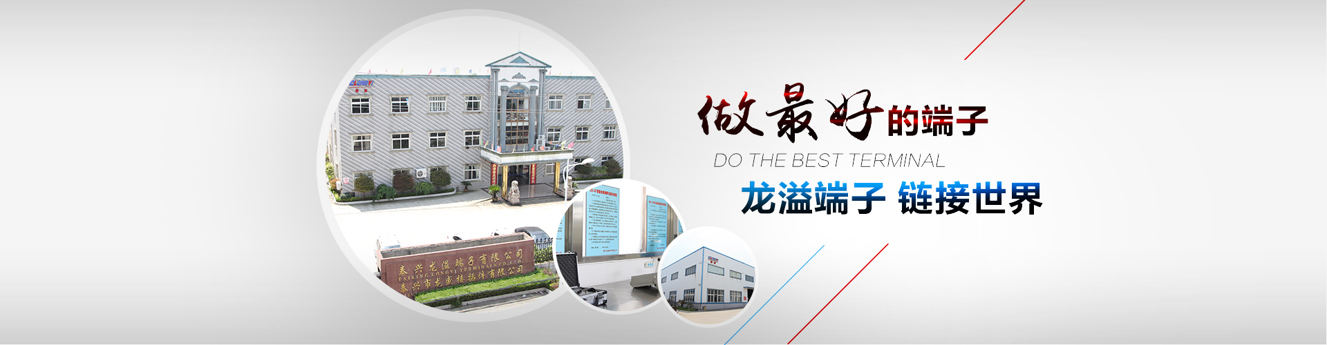 泰兴龙溢端子有限公司