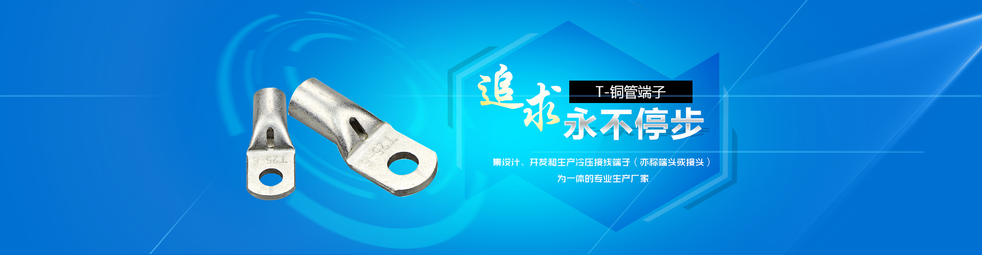T铜管端子